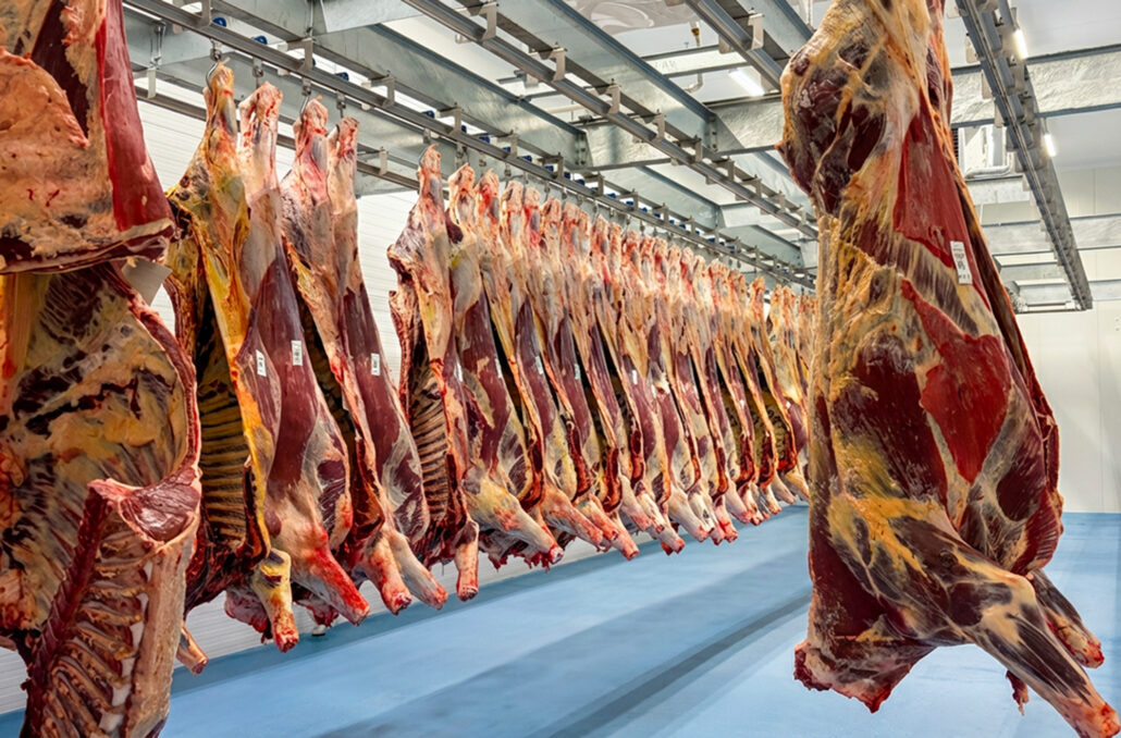 Nedskjæring av dyr i direct FOOD - Gir kontroll fra registrering av dyr til ferdig vare. Informasjon knyttes direkte til produksjon og parti, og gir sporbarhet, presis oppfølging og bedre kontroll på råvareutnyttelsen.