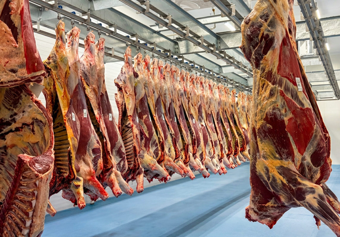 AMS AS is expanding direct FOOD with the Meat Cutting and Deboning module, linking each carcass to the production order, batch and lot numbers.
